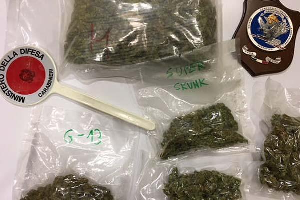 Arrestato giovane di Oleggio Castello con 8 etti di marijuana in auto