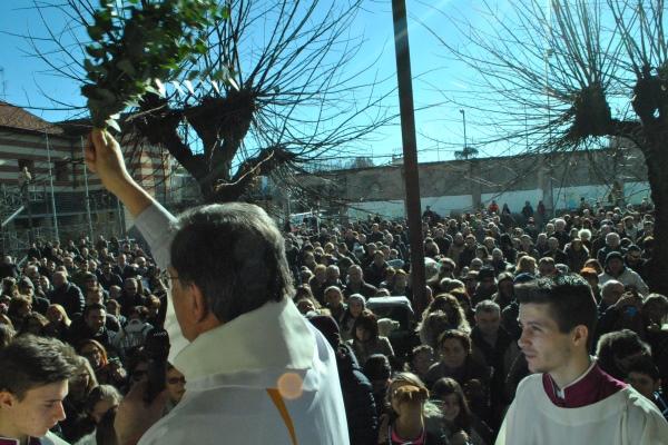 Benedizione degli animali da record