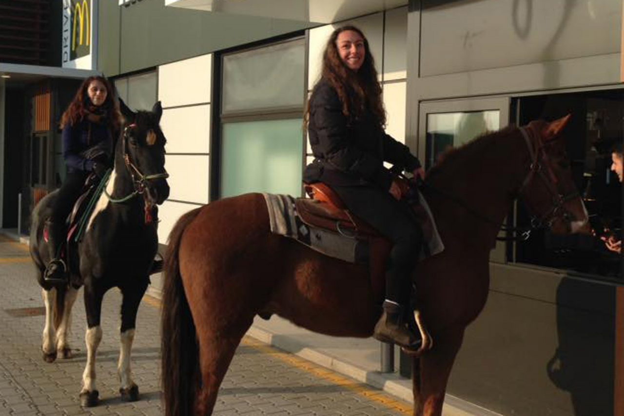 Cavalli al Mc Drive la sorpresa a Borgomanero