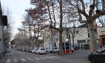 Cominciano le potature degli alberi in viale don Minzoni