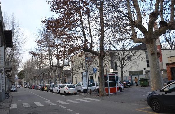 Cominciano le potature degli alberi in viale don Minzoni