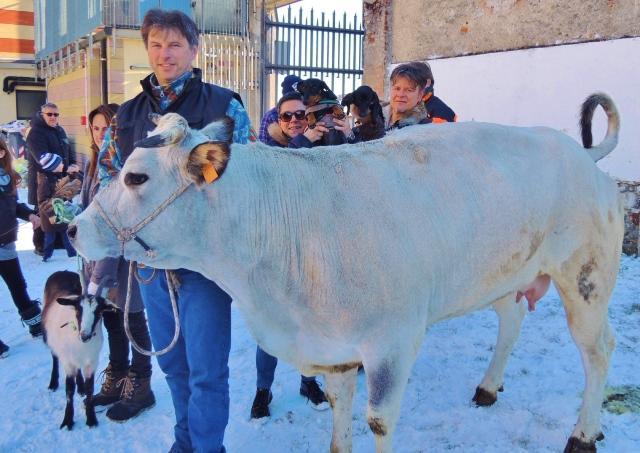E’ la festa di Sant’Antonio Abate, il protettore degli animali