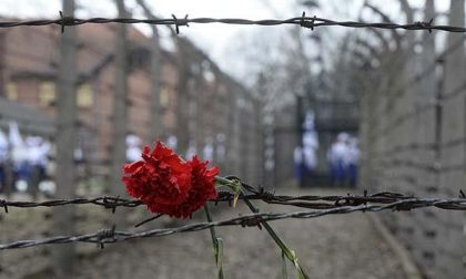 Gennaio, mese della memoria anche in biblioteca a Novara