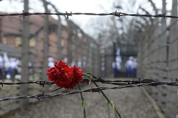 Gennaio, mese della memoria anche in biblioteca a Novara
