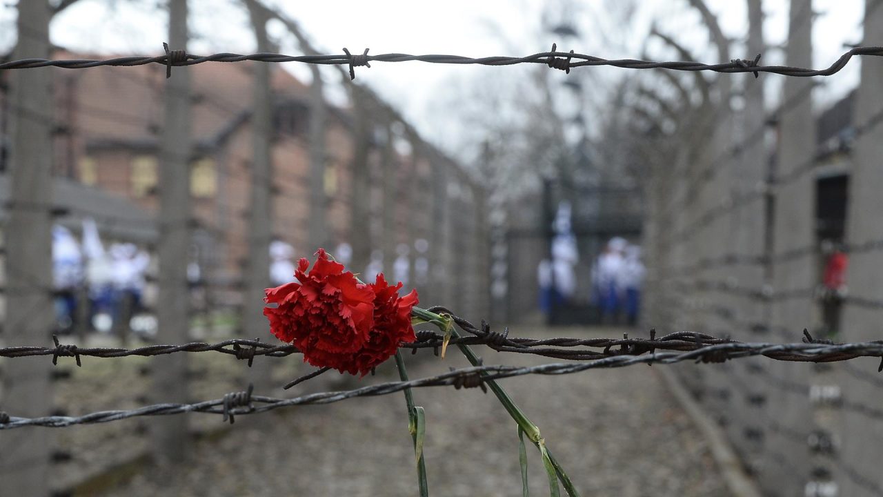 Gennaio mese della memoria appuntamenti in biblioteca