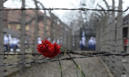 Gennaio mese della memoria appuntamenti in biblioteca
