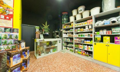 Cannabis: boom di negozi - Ecco quanti ce n'è e dove sono