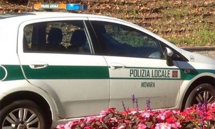 Investe un pedone in viale Roma e fugge: successivamente si reca dalla Polizia locale