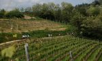 L'Unesco conferma il "bollino verde" al Geoparco Sesia Val Grande