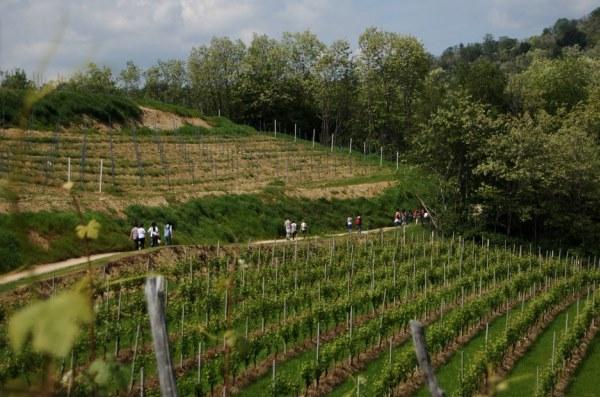 L’Unesco conferma il “bollino verde” al Geoparco Sesia Val Grande