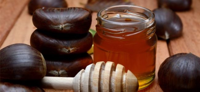 La ricerca di UniTo: il nuovo pesticida “amico delle api” in realtà le uccide