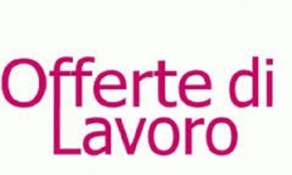 Centri impiego: A Borgomanero e Novara si potrà prenotare