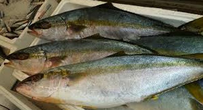 Pesce con mercurio tre lotti ritirati