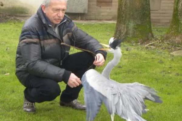 Se è un airone a fare il cane da guardia