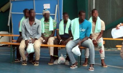 Allarme malaria Torino: due casi a Chivasso