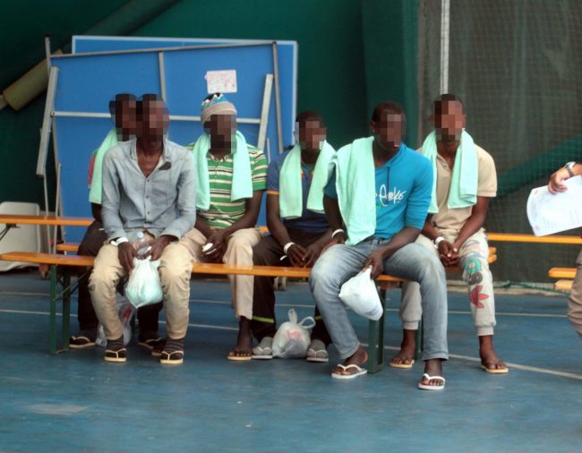 Allarme malaria Torino: due casi a Chivasso