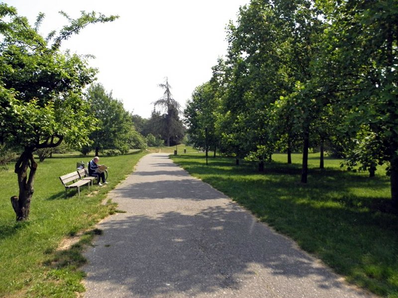 Anche Novara tra le città del Green City Network