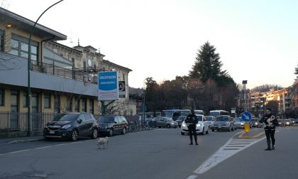 Arona attenzione.. attraversamento cigni!