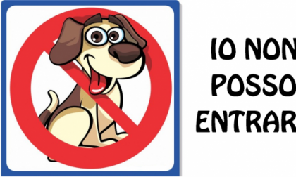 Niente cani nei ristoranti, bar e alimentari