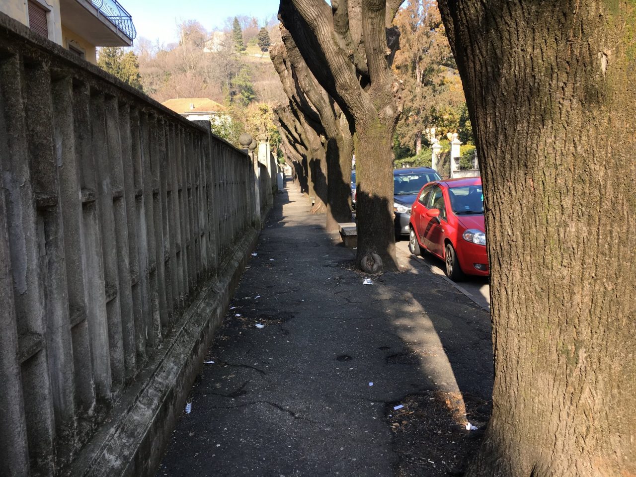 Arona slalom fra escrementi: qual è la via peggiore?