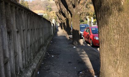 Arona slalom fra escrementi: qual è la via peggiore?