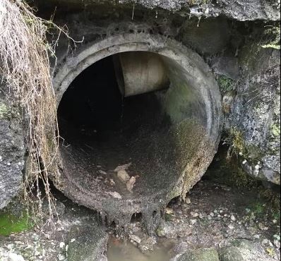 Liquami fognari ed escrementi ancora nella roggia