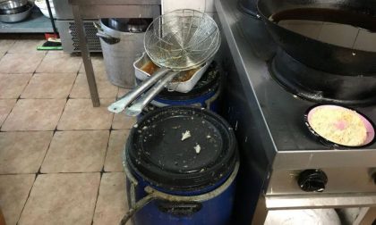 Scarafaggi nel frigorifero in un ristorante etnico