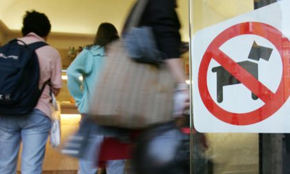 Cani in bar e ristoranti la decisione spetta al titolare