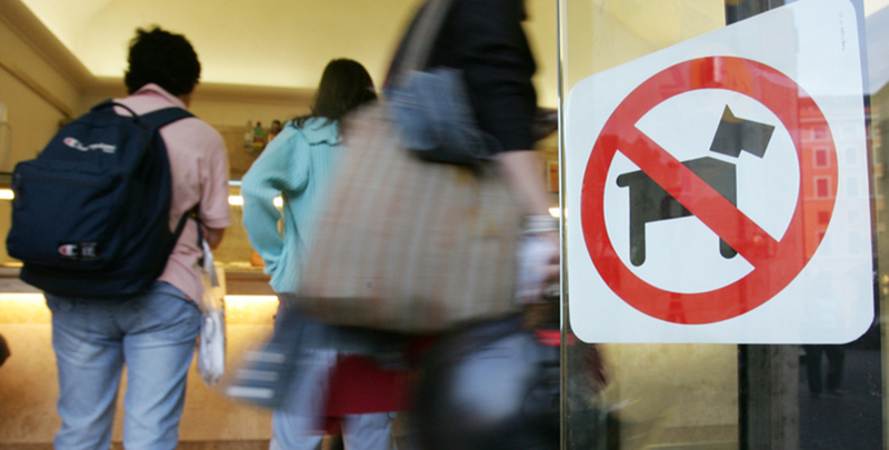 Cani in bar e ristoranti la decisione spetta al titolare