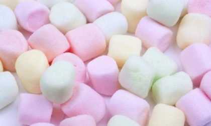 Ikea richiama caramelle Marshmallow causa topi