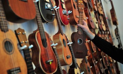 Attenzione musicisti: banda di ladri punta agli strumenti