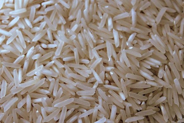 Export nuove varietà di riso a dazio zero, Coldiretti: «Inaccettabile la richiesta dell’India»