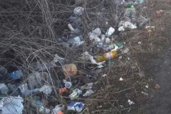 Parte da un nebbiunese l’appello per organizzare i volontari per l’ambiente nel Vergante