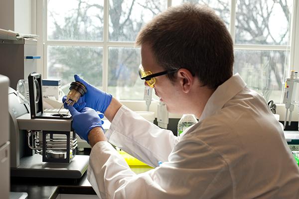 Premio “Roche per la ricerca” a ricercatore dell’Università del Piemonte orientale