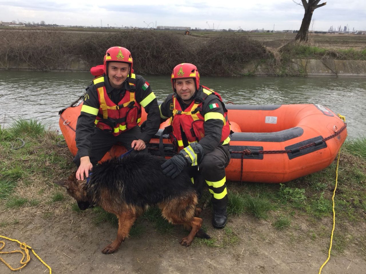 Stava annegando vigili del fuoco salvano un cane