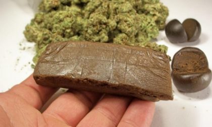 Si ribalta con l'auto e scappa nei campi: nel bagagliaio 108 kg di hashish, arrestato