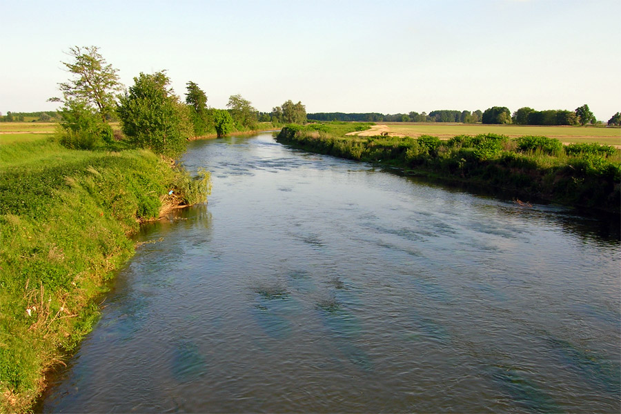 Odori irrespirabili a Momo: la lettera dei residenti