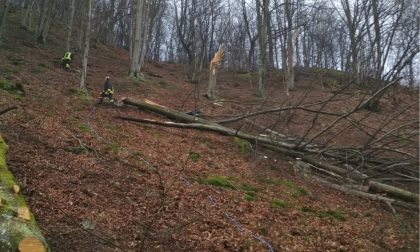 Tragedia Armeno: muore mentre taglia un albero