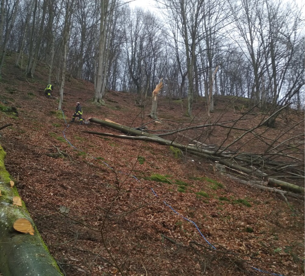 Tragedia Armeno: muore mentre taglia un albero