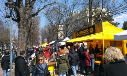 Primo weekend di primavera a Novara tra vino, cibo e fiori FOTOGALLERY