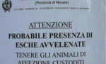 Bocconi avvelenati, l'ipotesi preoccupa