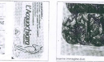Allerta sanitaria escherichia coli il ministero ritira un lotto di cozze