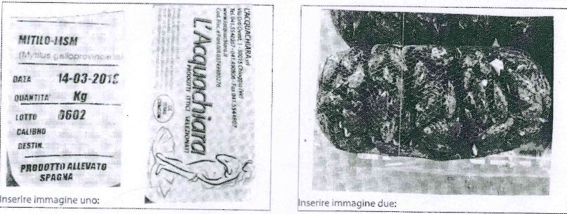 Allerta sanitaria escherichia coli il ministero ritira un lotto di cozze