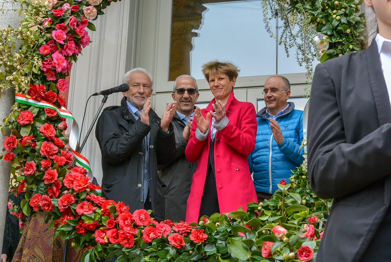 Camelie in mostra a Verbania