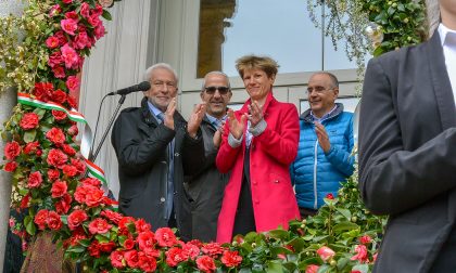 Camelie in mostra a Verbania