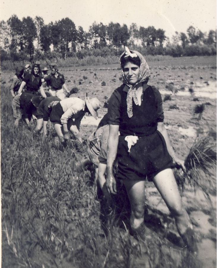 Museo Tornaco, novità per la Madonna dei porri