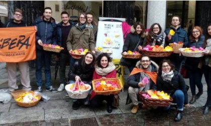 Mafia, un tulipano per ogni vittima