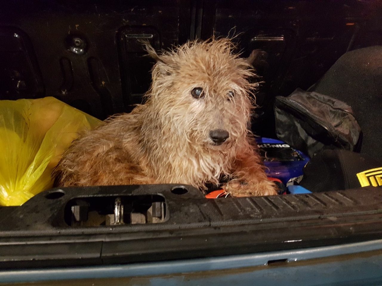 Trovato sui binari del treno a Caltignaga: di chi è?