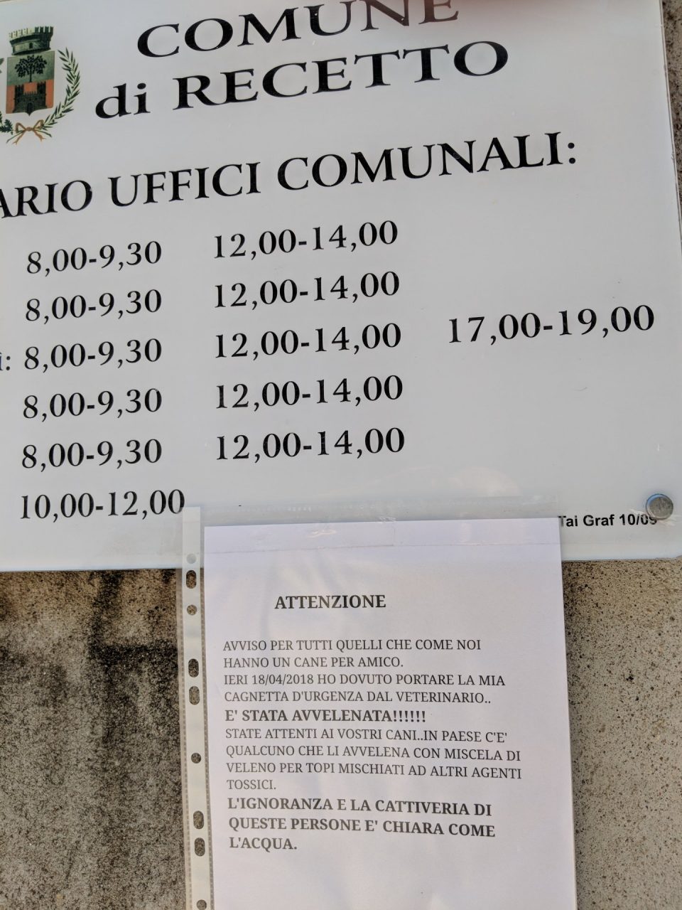 Incubo bocconi avvelenati per cani a Recetto: l’allarme