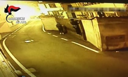 Sgominata banda che rubava auto e nelle case